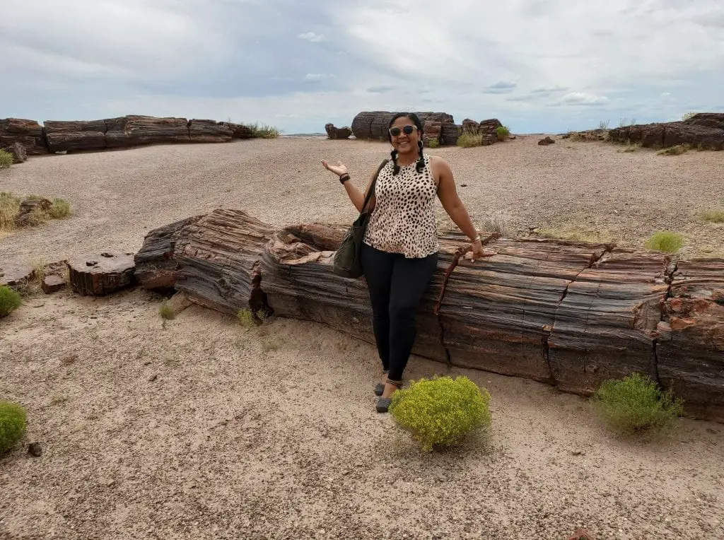 Petrified Forest National Park