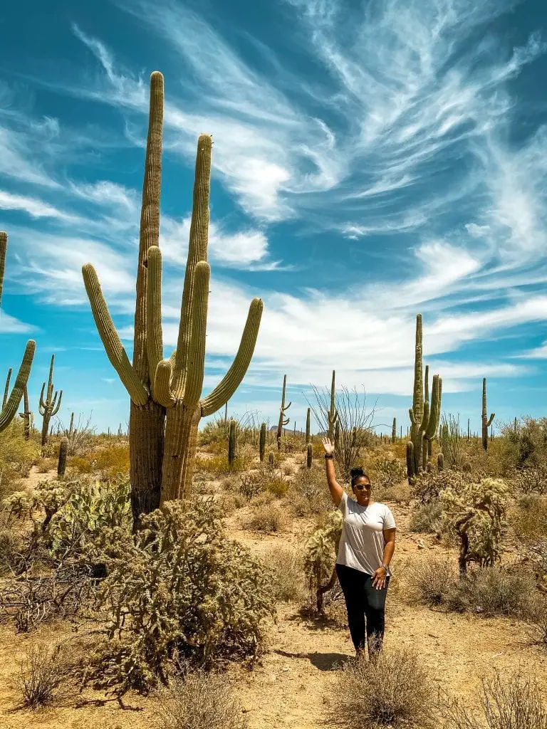 Saguaro National Park Travel Guide