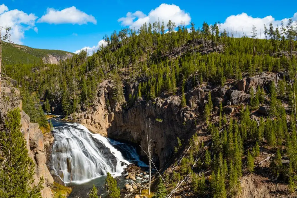 Gibbon Falls in Yellowstone