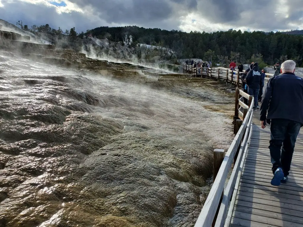 Walking to Mammoth Hot Springs