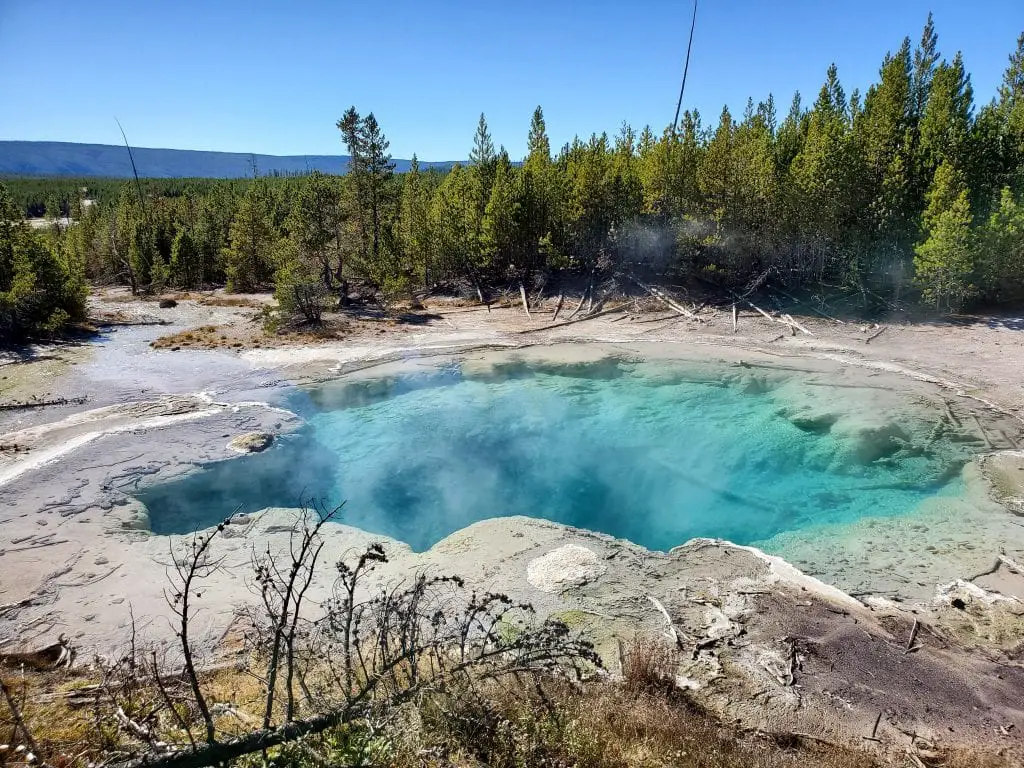 Emerald Spring at Norris Geyser Basin