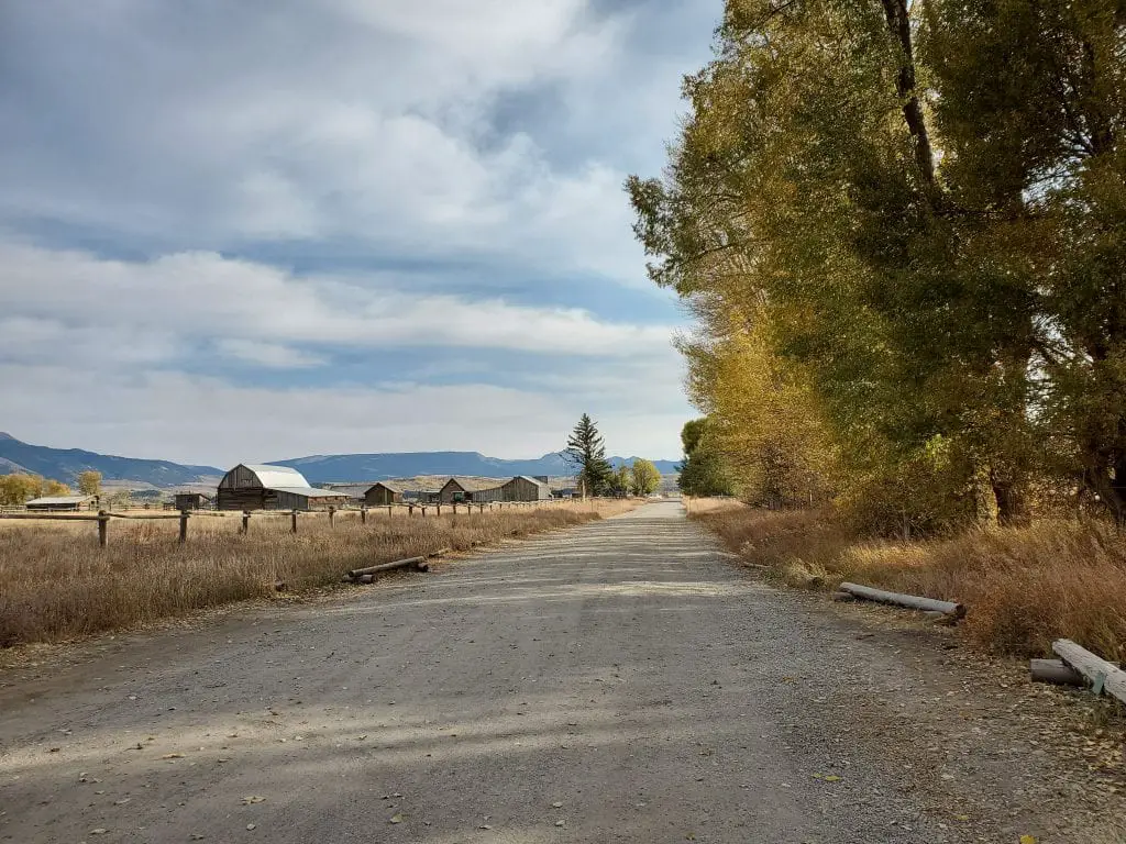 Dirt road leading to Mormon Row