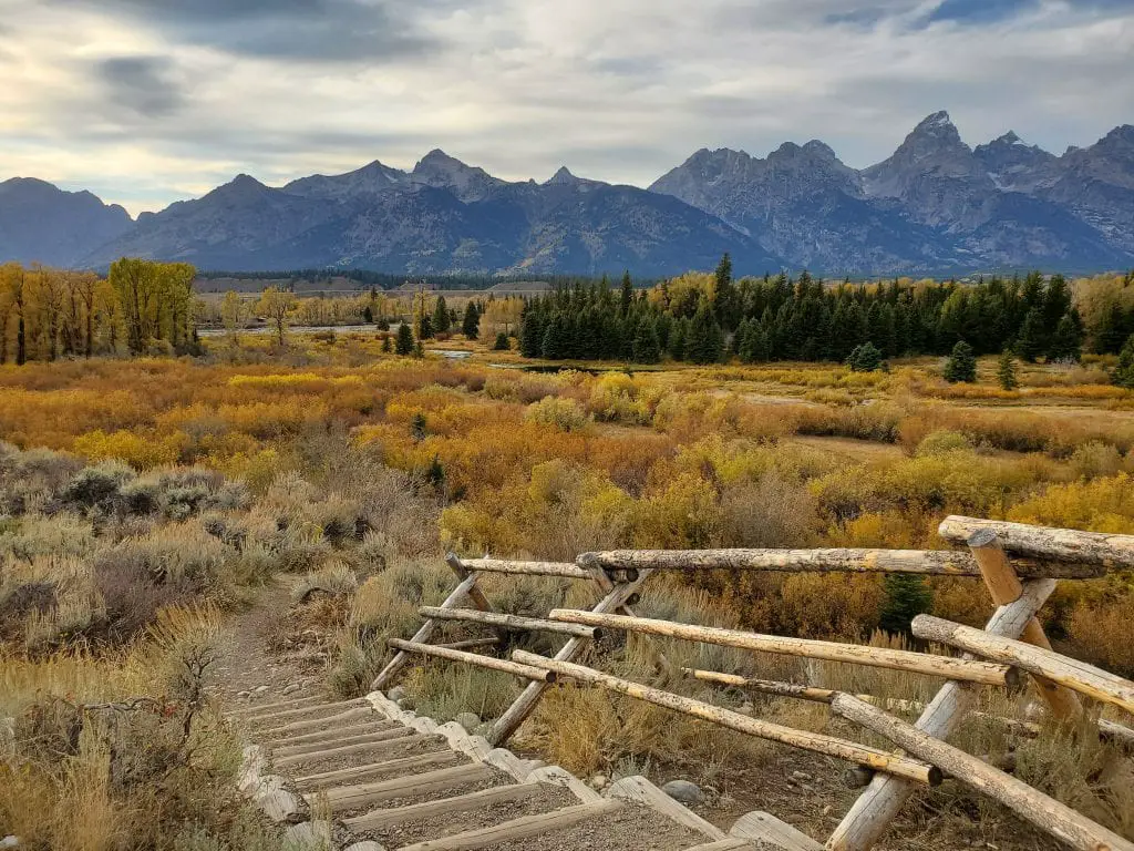 Stairs to a hiking trail at Blacktail Ponds overlook