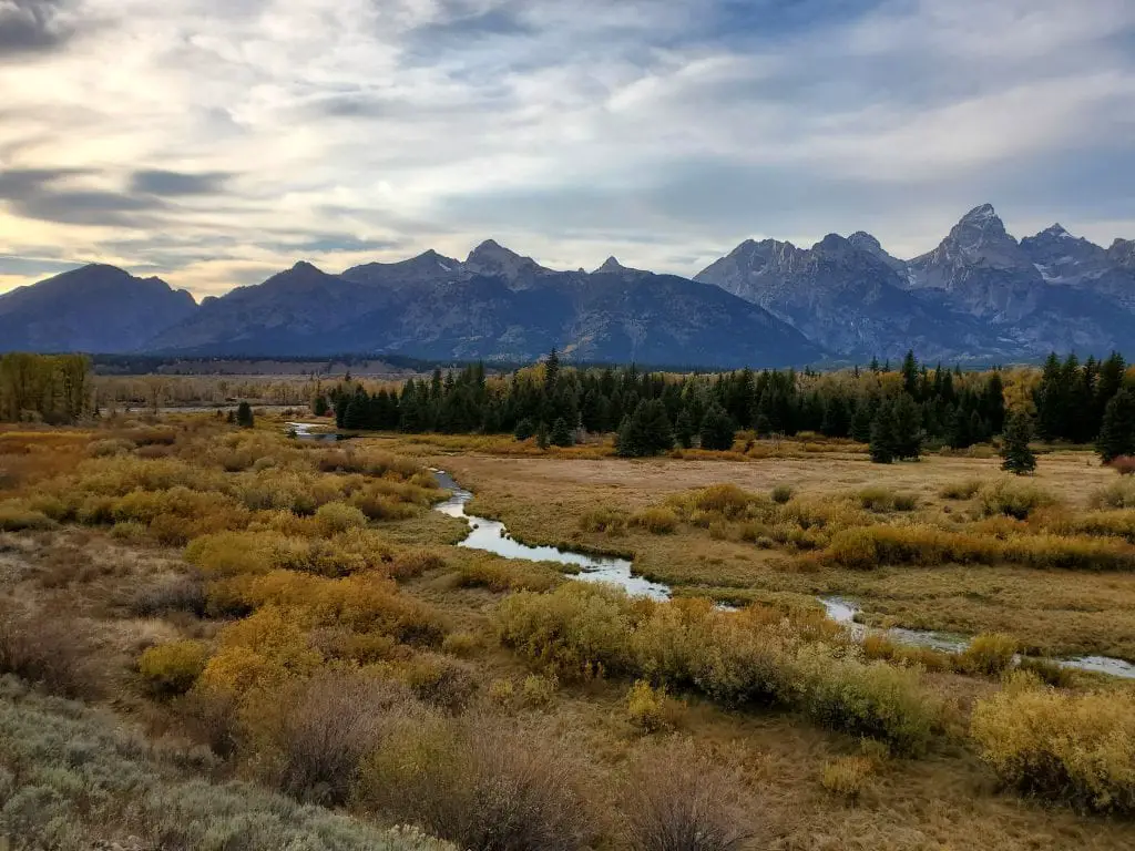 Blacktail Ponds overlook facing the Tetons