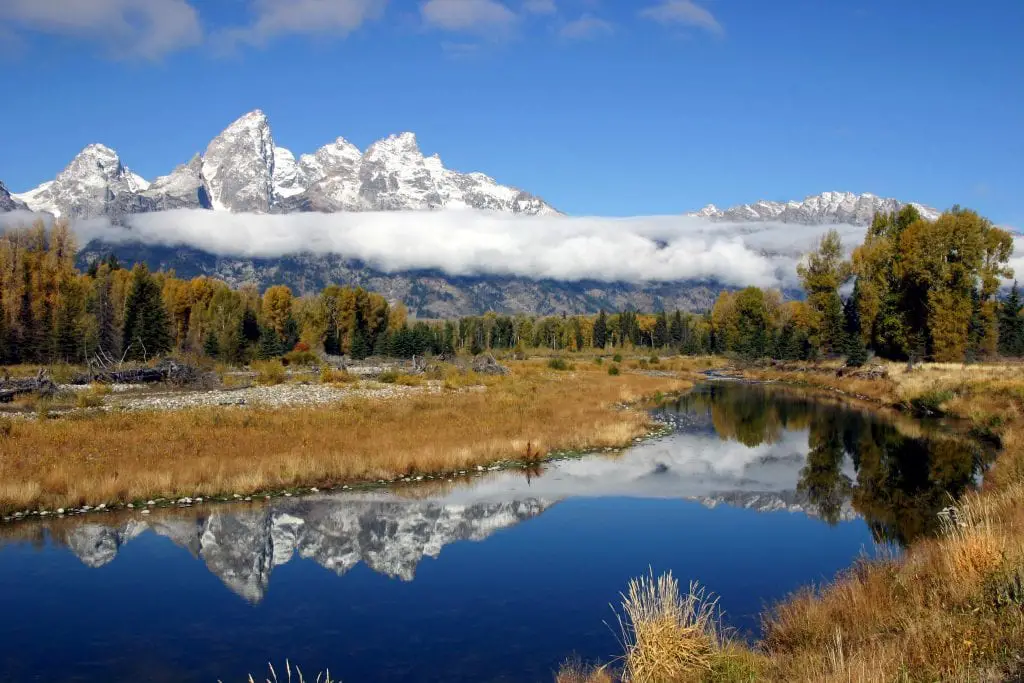 Reflection in Schwabacher's Landing at Grand Teton National Park