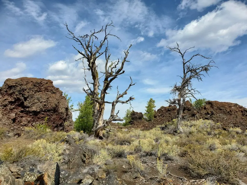 Devils Orchard in Craters of the moon