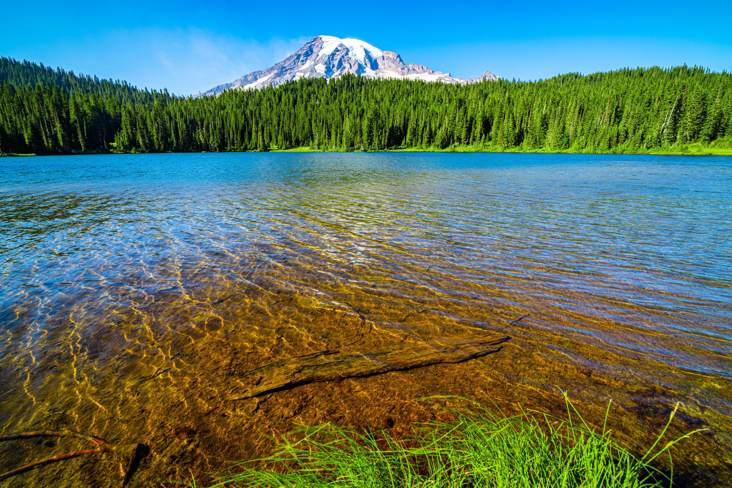 A Guide To Washington National Parks  Grounded Life Travel