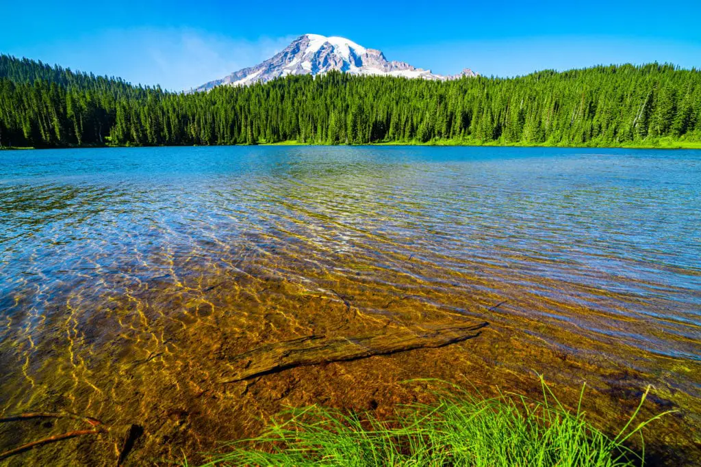 Reflection Lake Mount Rainier