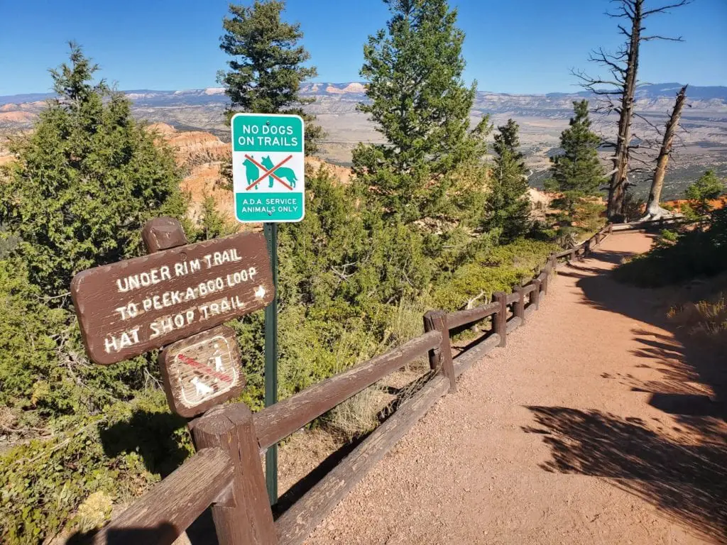 Bryce Point