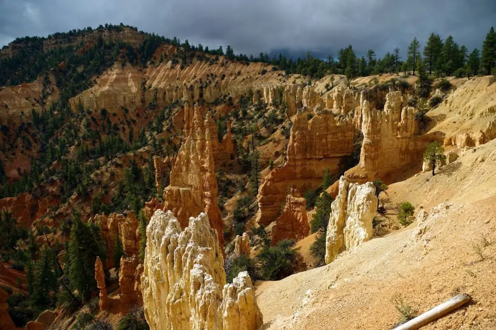 Rainbow Point Bryce Canyon