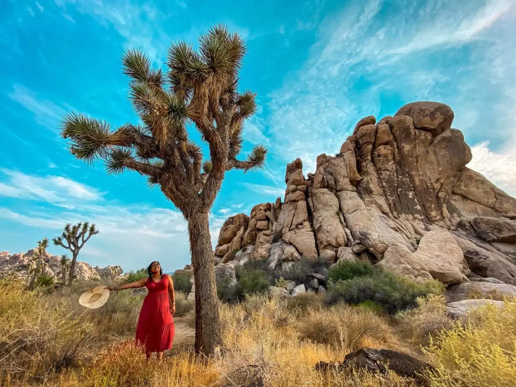 Joshua Tree National Park