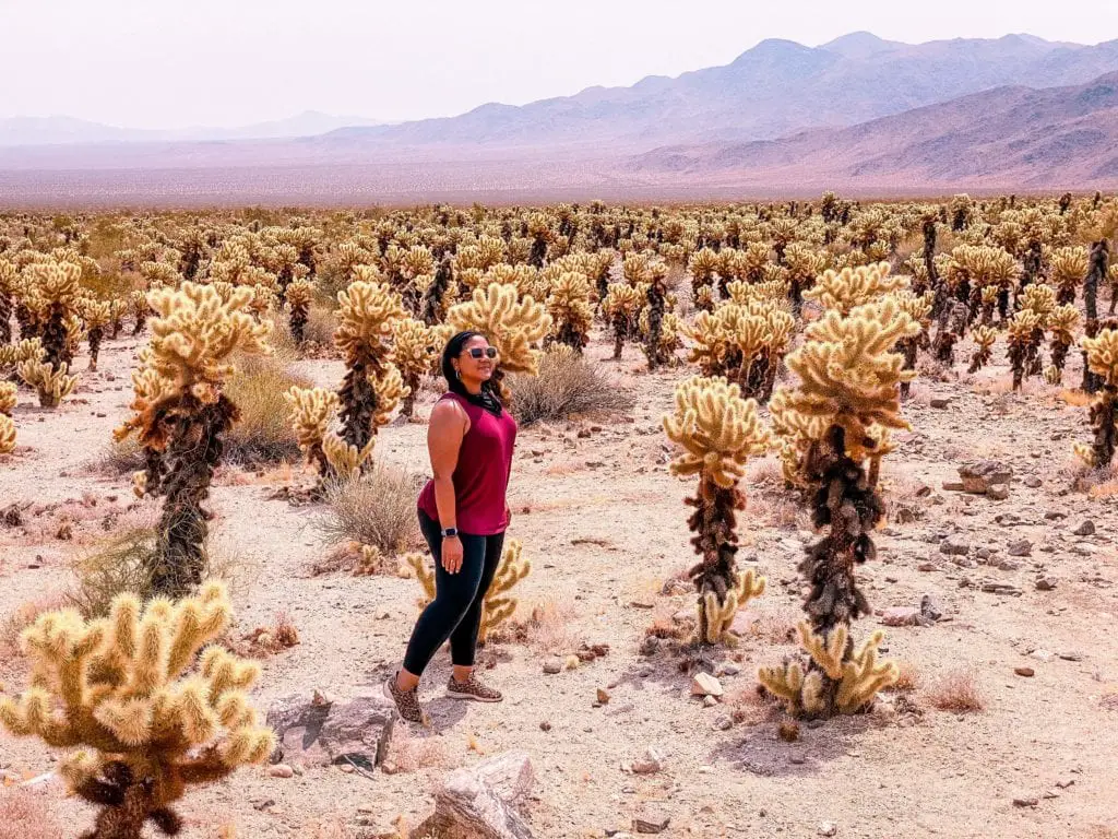 southwest national parks