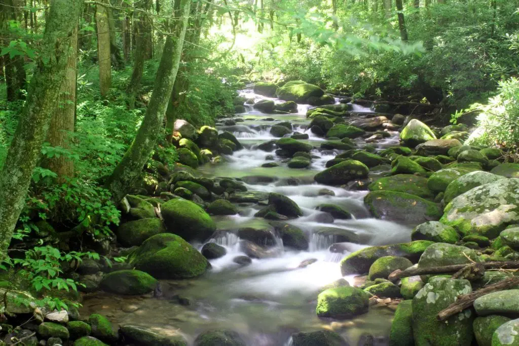 Great Smoky Mountains National Park