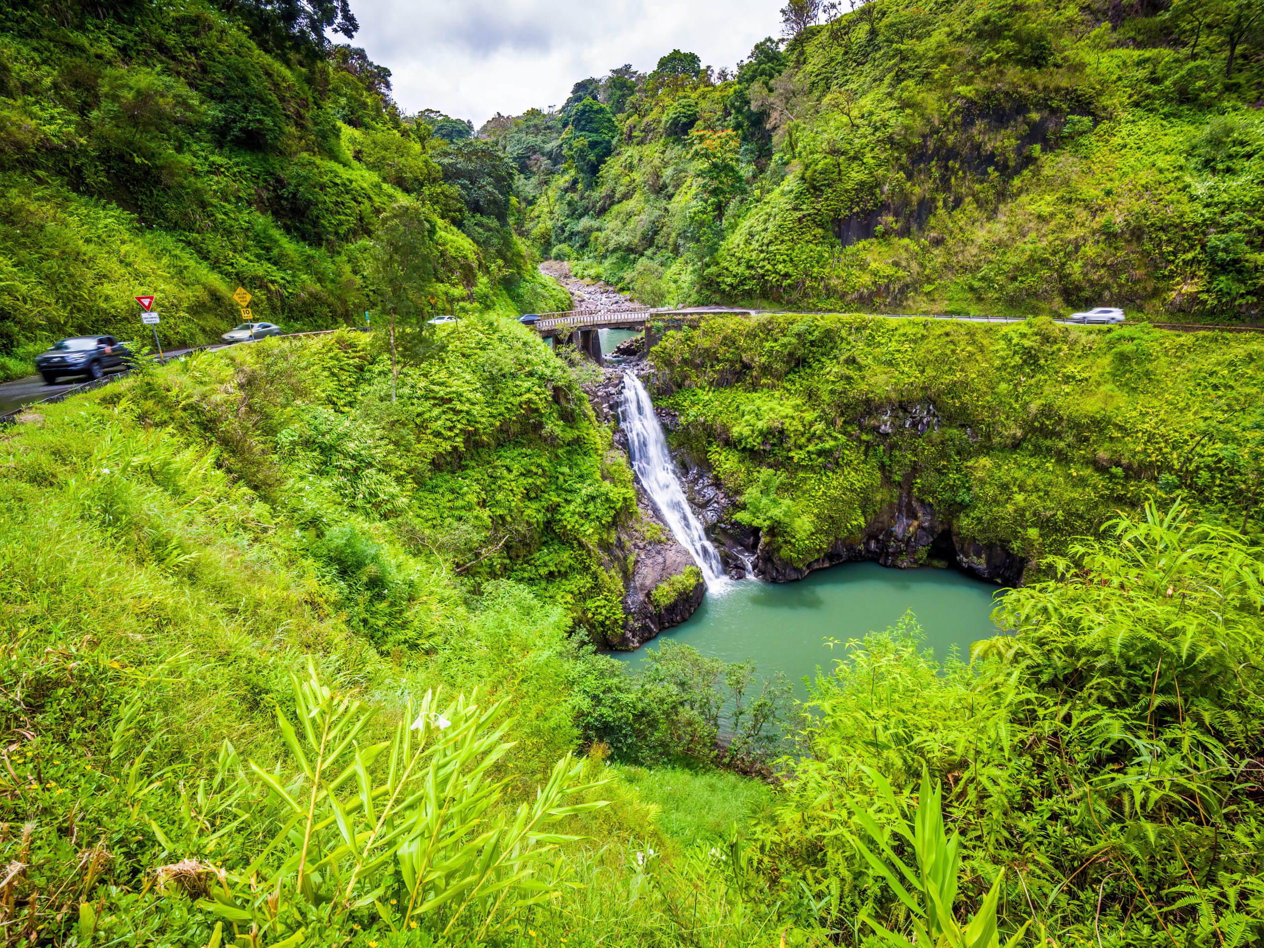 which road to hana tour is best