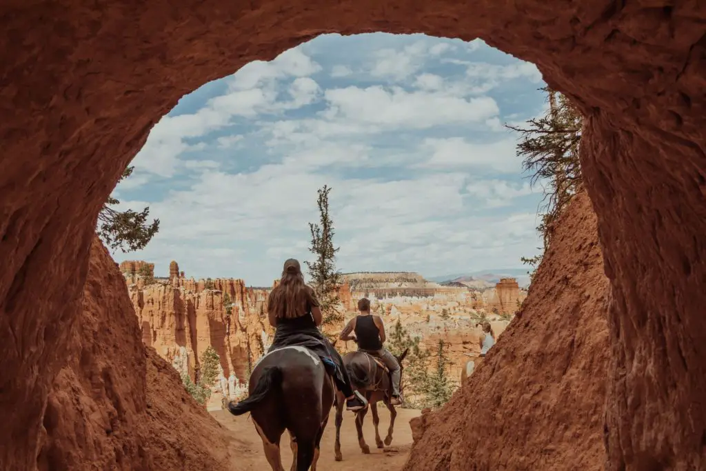 Zion National Park Vs. Bryce Canyon