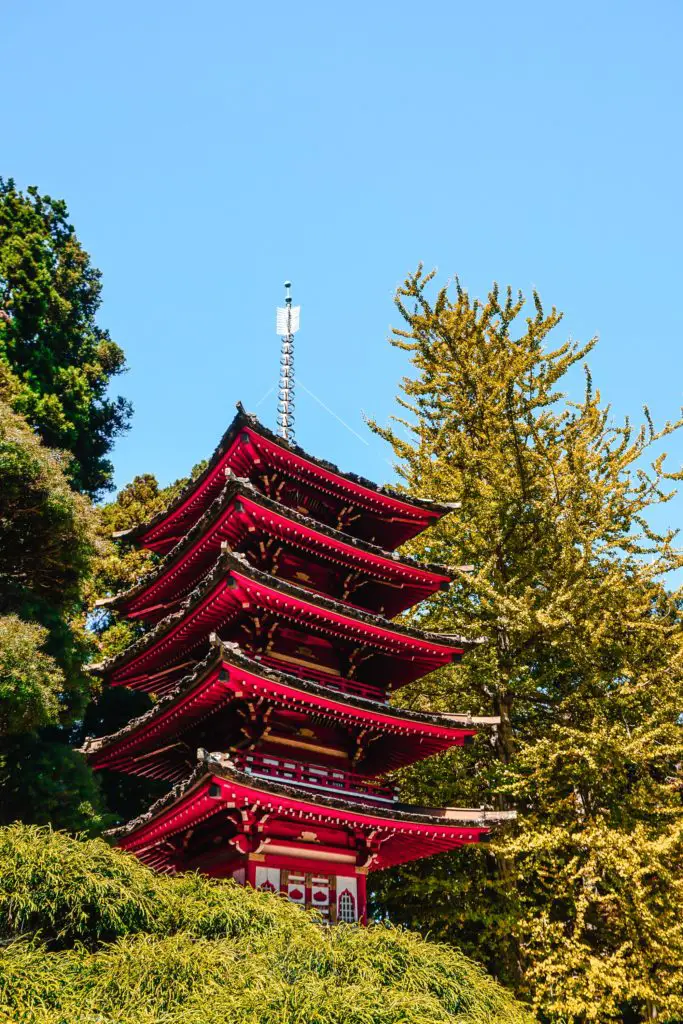 12 Things You Need To Know Before Visiting Golden Gate Park