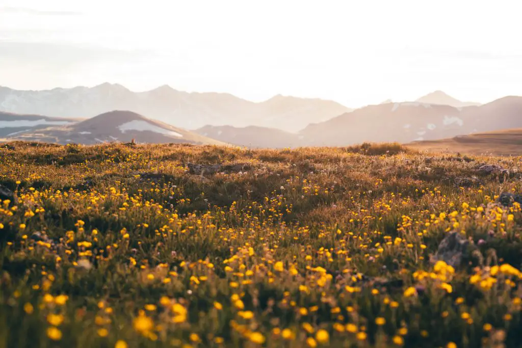 Best Month To Visit Rocky Mountain National Park